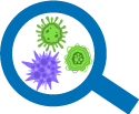 Detección de patógenos microbianos